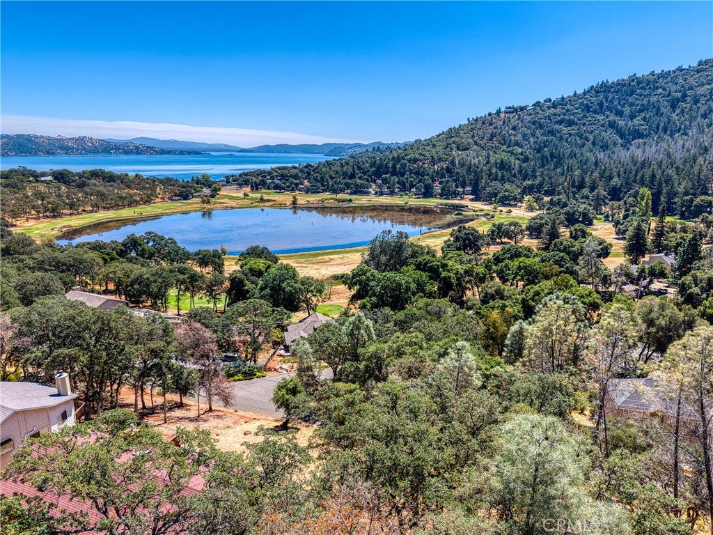 7999 Little Borax Lake Road
