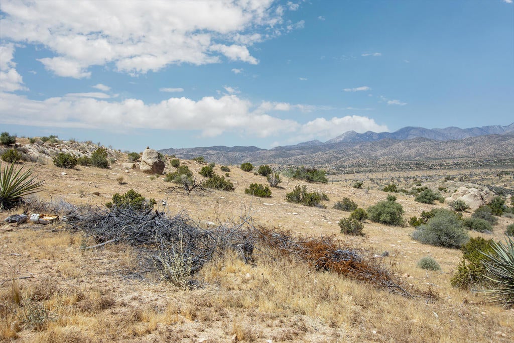 53102 Geronimo Trail