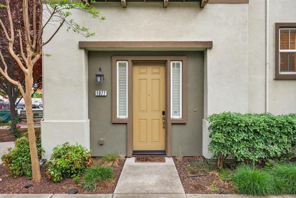 1077 Zucchini Terrace