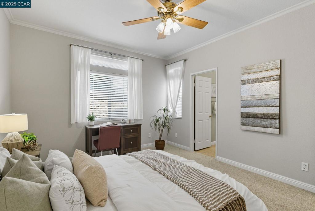 CANYON MEADOWS - Residential