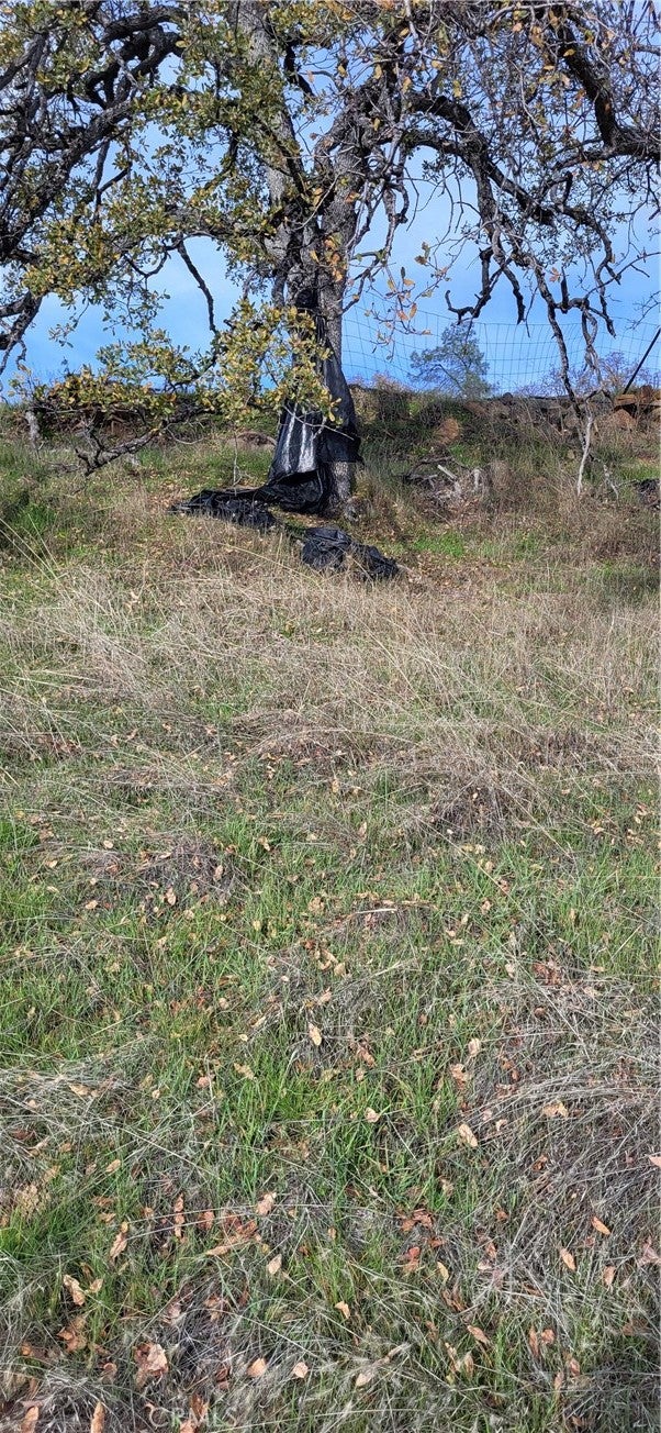 0 Cottonwood Creek