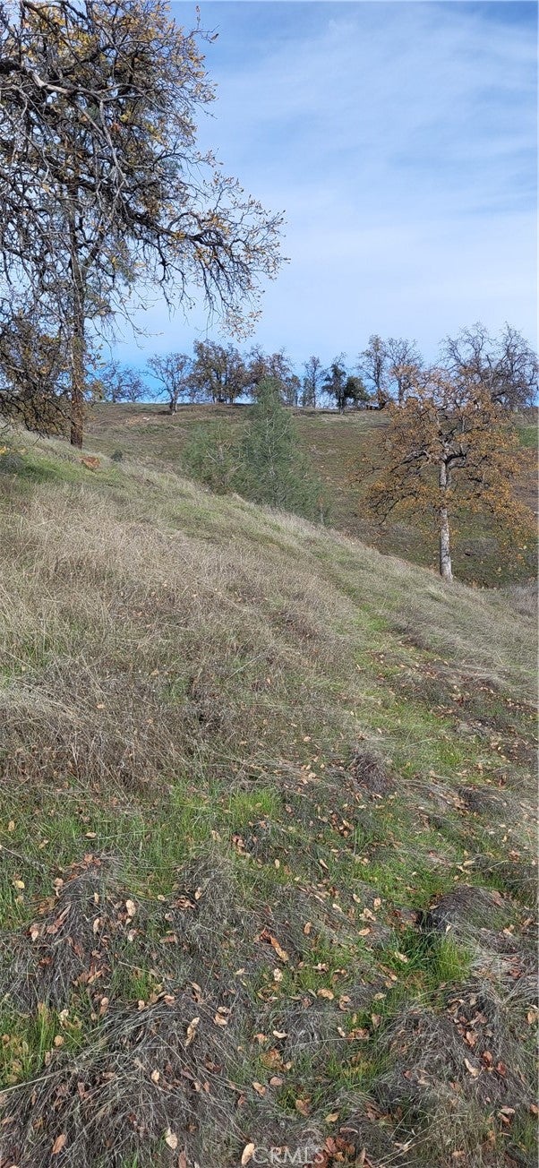 0 Cottonwood Creek