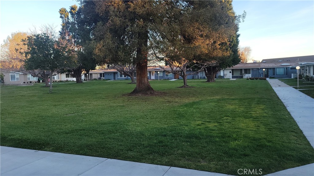 13671 Annandale Dr. Drive 10G
