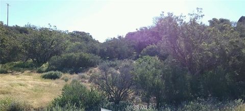Photo of 0 Lake Canyon, Aguanga, CA 92536 (MLS # SW26075997)