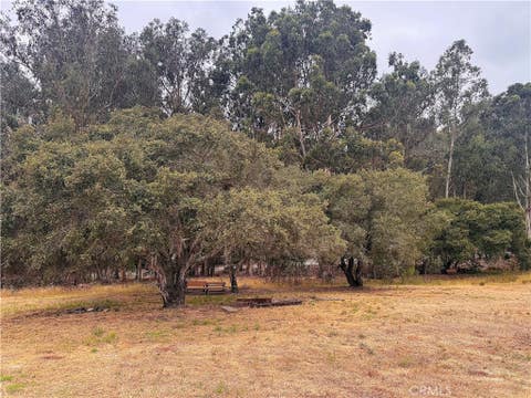 Tiny photo for 491 Hurley Ranch RD, Arroyo Grande, CA 93420 (MLS # SC26130296)
