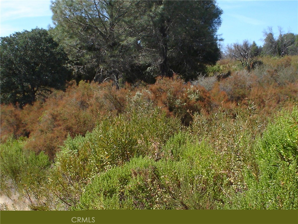 Two parcels totaling approximately 6970 sq.ft., zoned residential