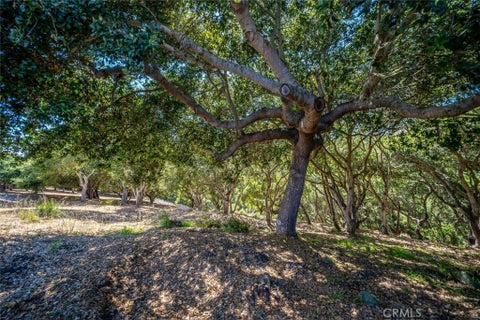 Tiny photo for 991 Visalia Street, Pismo Beach, CA 93449 (MLS # SC25182221)