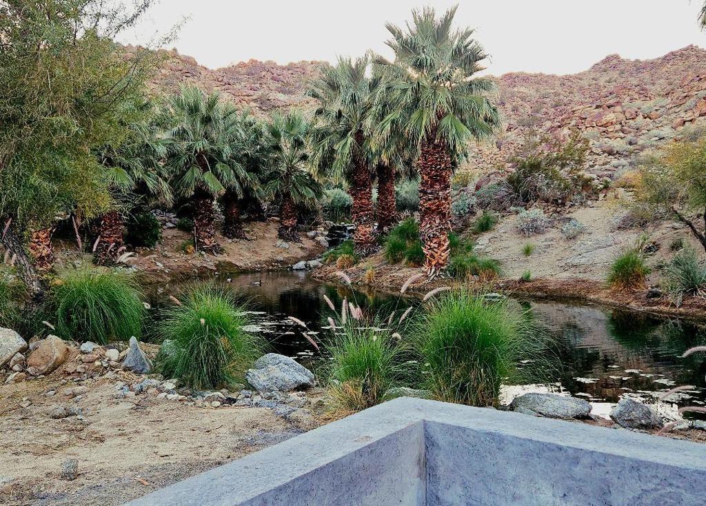 Stone Eagle - Residential