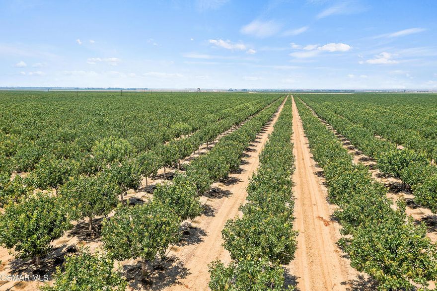 Rosa ranch consists of 601 acres dedicated to Golden Hills Pistachios, planted in 2016 along with 36.27 acres of open land.  This is 9 contiguous parcels.  There are 3 wells that produce an estimated 4,098 gallons per minute, translating into approximately 22 acre-feet of water per day. The presence of a 48-Acre/Ft reservoir and 3 strategically placed booster pump & filter stations along with a water truck & sprayer pump, ensure consistent and efficient irrigation.  A canopy and a residence seamlessly integrate into the farming operation. In summary, this offering presents a rare opportunity to own a well managed pistachio orchard with efficient water resources as well as the inclusion of well-planned infrastructure. Owner will review all offers.  Owner may consider short term financing.