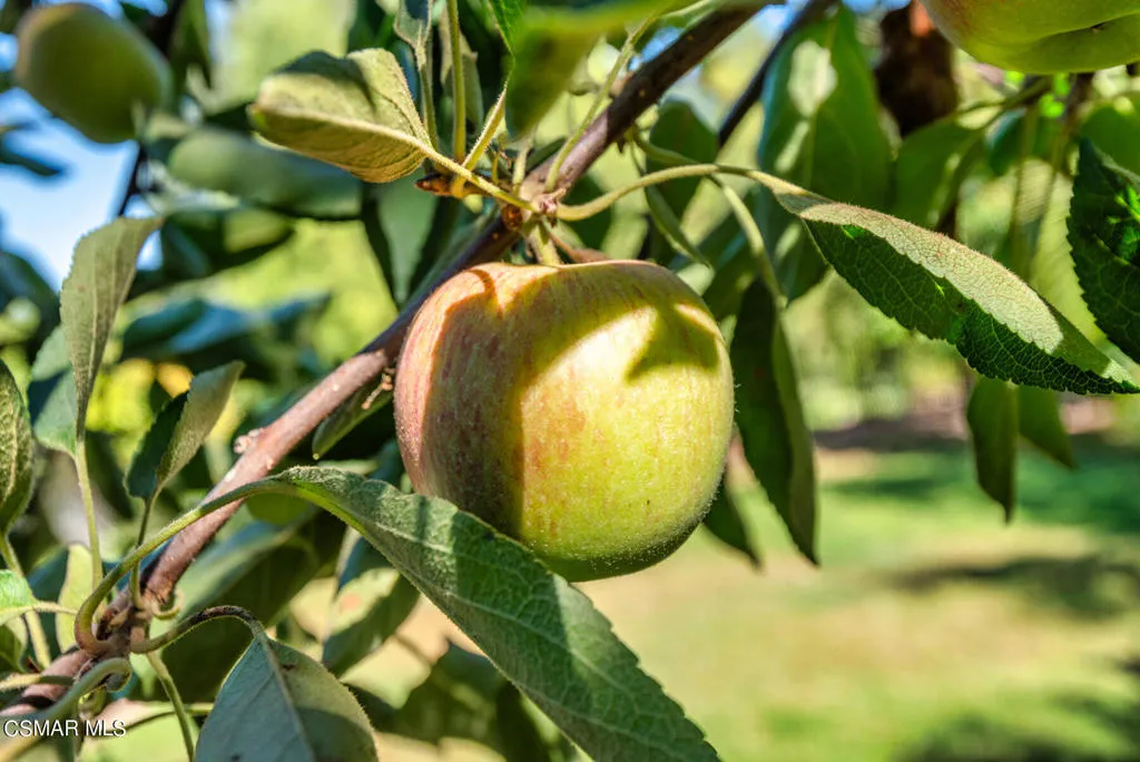 Simi Valley, California 93065, United States, 6 Bedrooms Bedrooms, ,6 BathroomsBathrooms,Residential,Active,138044