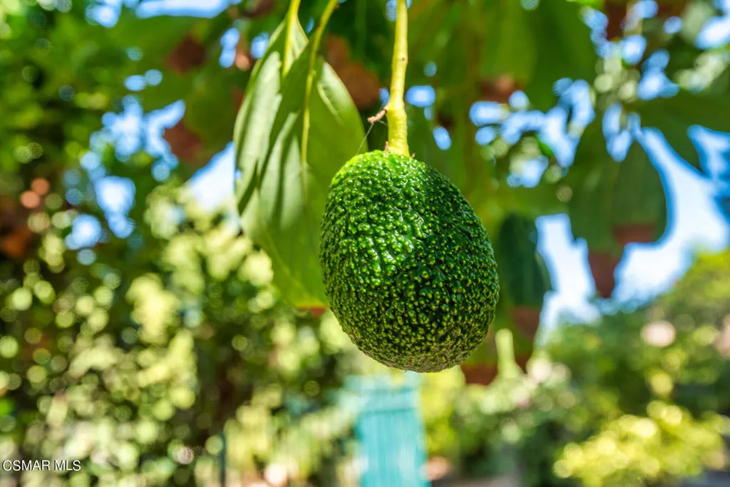 Simi Valley, California 93065, United States, 6 Bedrooms Bedrooms, ,6 BathroomsBathrooms,Residential,Active,138044