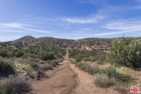 Photo of 0 Hubbard Road, Acton, CA 93510 (MLS # 25517219)