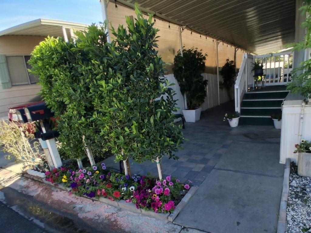 81351 Avenue 46 #80