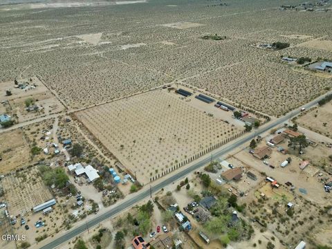 Photo of 9125 Mesa Avenue, Lucerne Valley, CA 92356 (MLS # P1-26590)