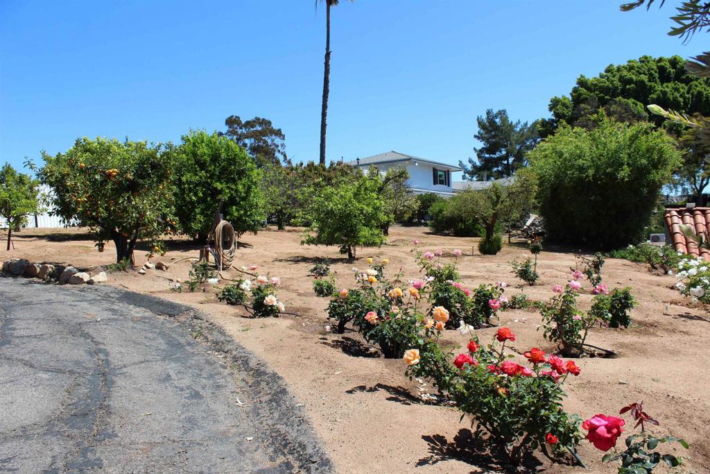 11437 Valle Vista Drive