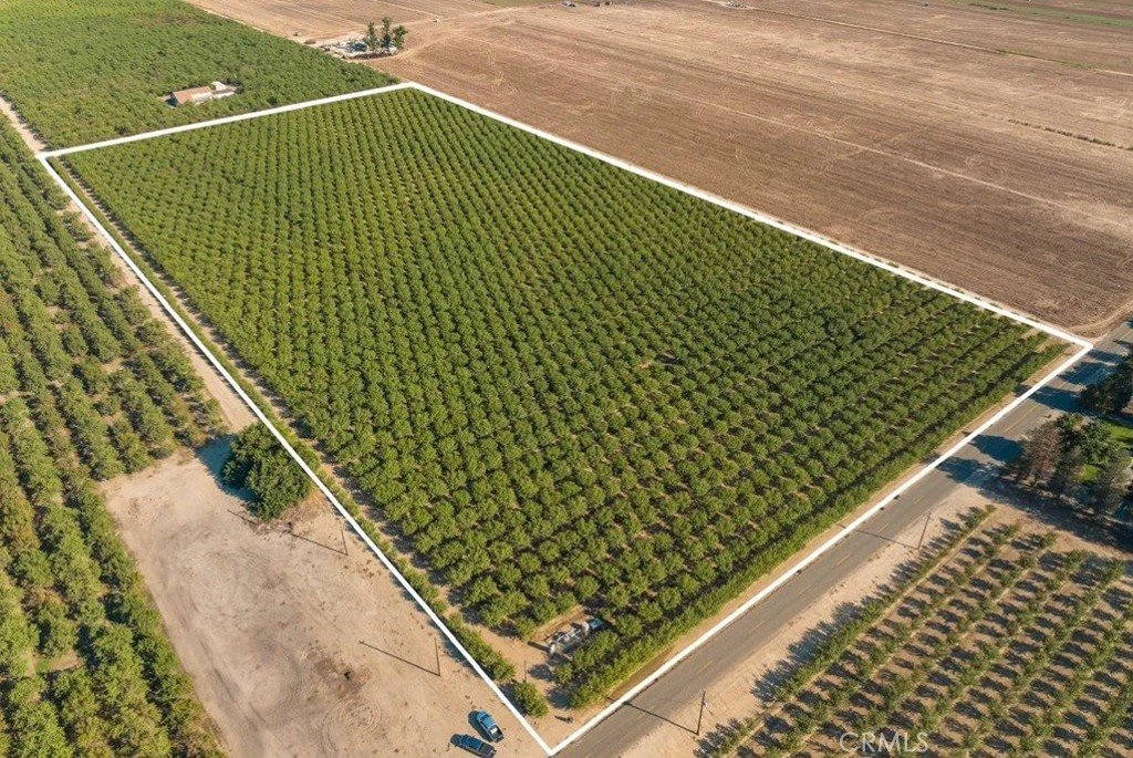 18.7± Acres of Producing Almonds | Livingston, CA
Located on the northeast corner of Longview and Griffith Roads in Livingston, this 18.7± acre property offers a strong investment opportunity in Merced County’s productive ag region.
Planted to 8th leaf Nonpareil and Monterey almonds, the orchard is in full production and well maintained. The property benefits from dual water sources — Class 1 Merced Irrigation District water and an ag well — providing flexibility and reliability for irrigation. The orchard is set up to irrigate efficiently via double-line drip or can be flood irrigated through a pipeline system.
An existing Blue Diamond contract is in place and can be assumable by the buyer. Tax benefits of purchasing an existing orchard like this one may apply. Buyers are encouraged to consult with their accountant or tax professional for confirmation and specific guidance.
Parcel 2 of 19.3± acres is also for sale under mls # MC25241973