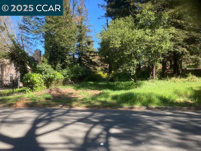 CREATE YOUR OWN SPECTACULAR PRIVATE ESTATE. Rare and spectacular 7.6 acre property off of Skyline Blvd. in the Oakland hills. This property is composed of four adjoining parcels: two right on Skyline Blvd. and two directly behind them. All four are being sold together. Lot 1 fronts on Skyline (Parcel Number: 085 631601100) and is 3434 sq. ft. Lot 2 (Parcel #085 631601300) is 3.080 sq. ft and also fronts on Skyline to the right of Lot 1. Lot 3 (Parcel #085 631601200) is right behind Lot 1 and is 313,196 sq. ft. Lot 4 (Parcel #085 631601400) is to the right of Lot 3 and behind Lot 2 and is 12,075 sq. ft. The two smaller parcels on Skyline are relatively flat while the two parcels behind slope down into the unspoiled, heavily wooded valley. Looking at the property from Skyline Blvd, it lies between 12480 Skyline on the left and the Skyline Community Church on the right. Lots this large are extremely unique and rarely available in the Bay Area and especially in the Oakland hills.