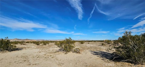 Photo of 800 Desert Queen, 29 Palms, CA 92277 (MLS # HD26189699)