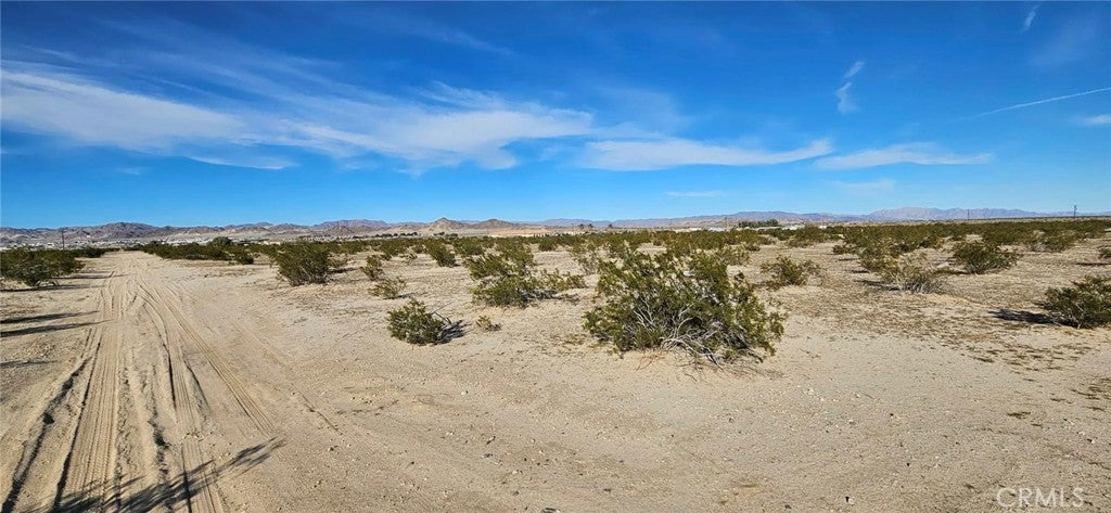 800 Desert Queen