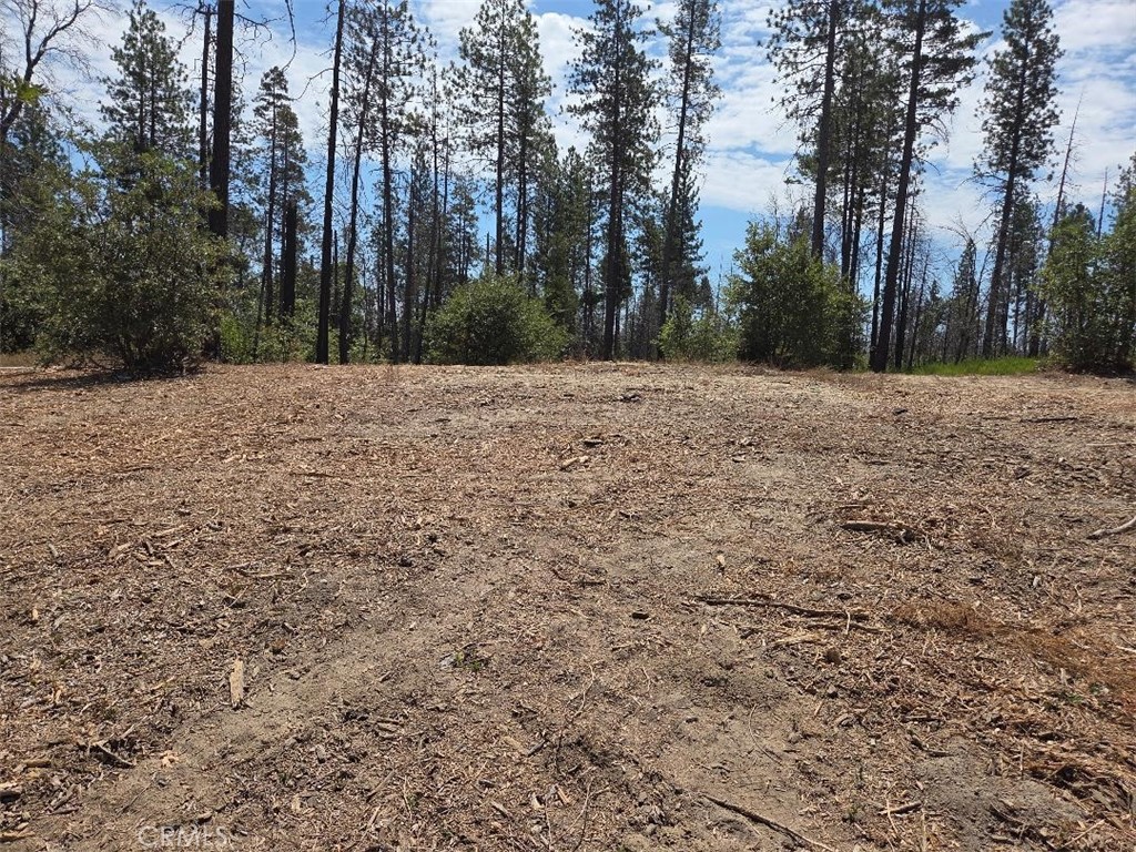 Discover the perfect blend of peace, privacy, and potential on this beautiful 2.58-acre parcel. This sun-drenched lot has been thoughtfully prepped and is ready for your dream home, cabin, or weekend retreat. All the hard work has been done—refurbished well, installed septic, and electricity on site.
The property boasts plenty of open space with deadwood professionally cleared, making it fire-wise and easily buildable. Whether you’re looking to build now or invest for the future, this land offers both tranquility and convenience.
Don’t miss out on this clean, sunlit, and well-prepared property—a rare find with utilities in place. Bring your plans and make it your own!
Call your agent today to schedule a walk-through and explore the possibilities.