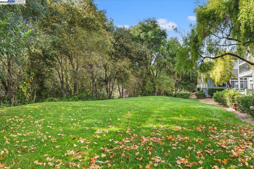 CANYON MEADOWS - Residential