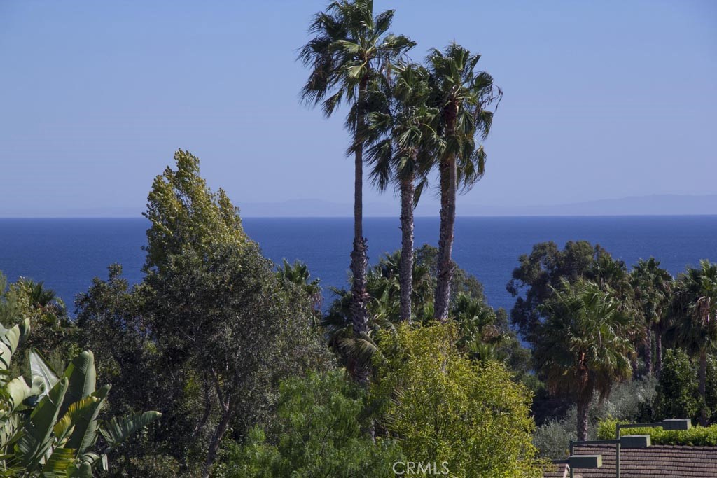 Move-in ready! Ocean View 1 story custom home behind a double-gated entry. Highly upgraded home has 4 bed + 4 bath w/ approximately 3,700 square feet. The vast 1 acre property boasts ocean views, lush landscaping, fruit trees, organic garden, a huge grassy area overlooking the Pacific, & massive stonework surrounding the spa, BBQ center, & party deck w/observation area. Enter onto the stone floors & into the great room w/stone fireplace, built-in book cases, & flat screen TV w/surround sound, all under high wood-beamed ceilings & open to the custom & remodeled cook's kitchen w/professional range, pot filler, Sub Zero professional refrigerator/freezer, stone counters, mosaic tiled backsplash, wine fridge, & center island. Bi-fold doors in the great room invites ideal indoor/outdoor living. The master suite features ocean views, a warm & inviting fireplace w/flat screen TV above, French doors leading to the yard and spa, a large sitting area with built-in desk and bookshelves, and a remodeled master bath with a European-styled enclosed steam shower and bath combination. Let’s not forget the custom home theater with surround sound and a lofted viewing lounge. 2 of the bedrooms are presently set up as a music studio & control room but can be easily restored as bedrooms. Stunning!