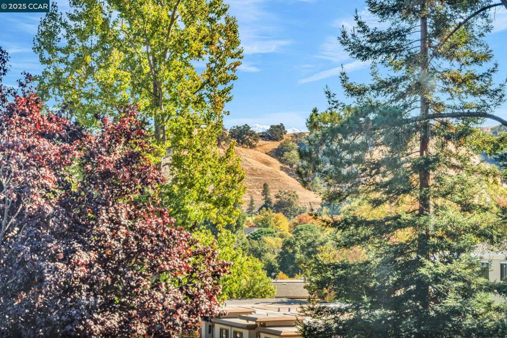 ROSSMOOR - Residential