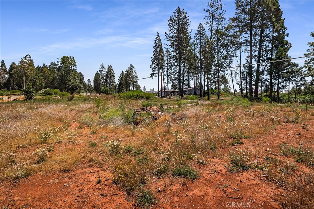 6435 Ponderosa Way