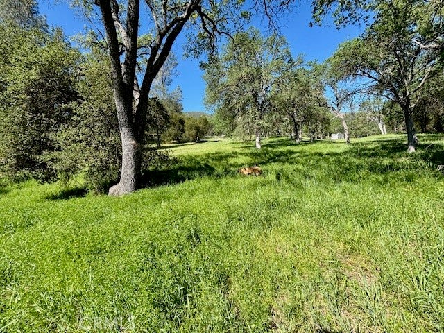 0 AV Ranch Road