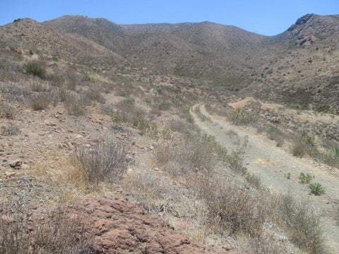 Photo of 28 Hughes, Acton, CA 93510 (MLS # 219149447PS)