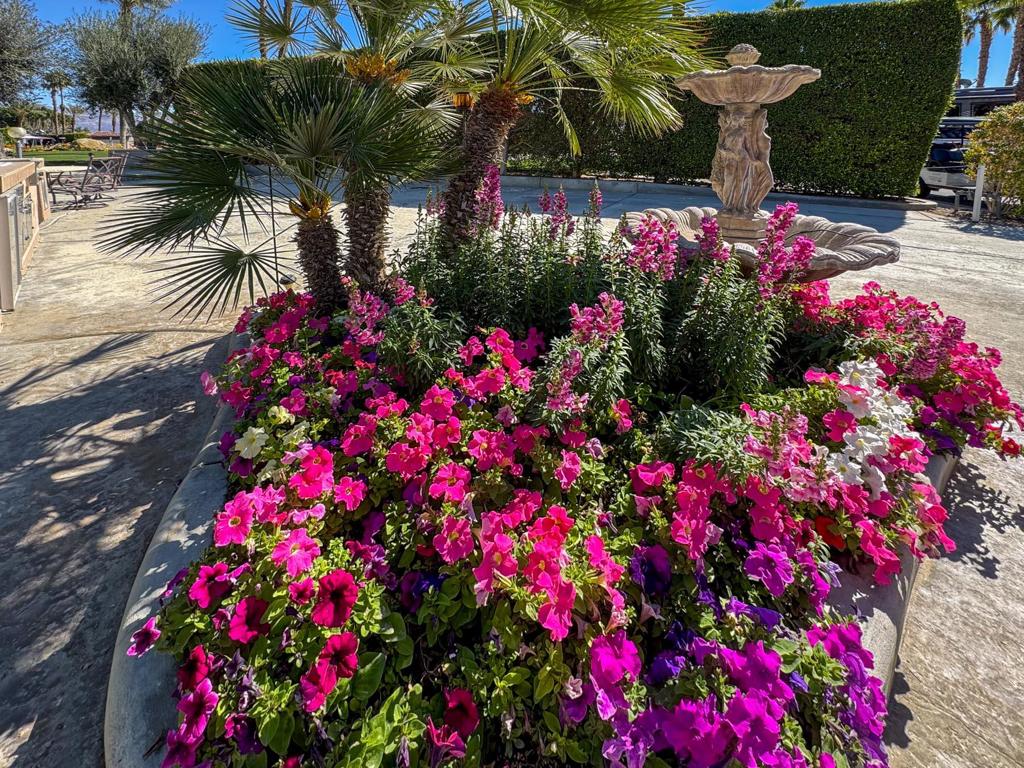 Outdoor Resorts CC - Residential