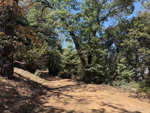20 Acres Fry Creek Road