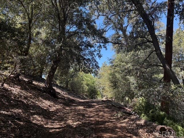 20 Acres Fry Creek Road