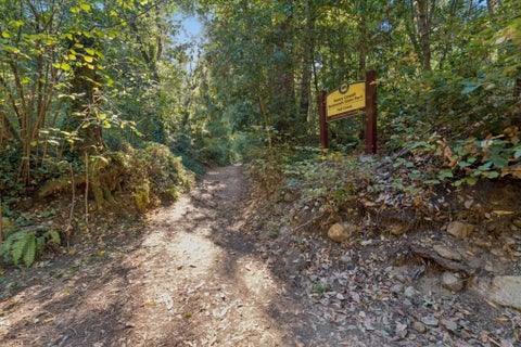 Tiny photo for 484 Fall Creek Terrace, Felton, CA 95018 (MLS # ML82060271)