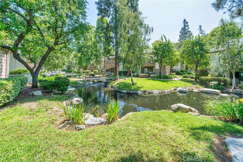 26701 Quail 82