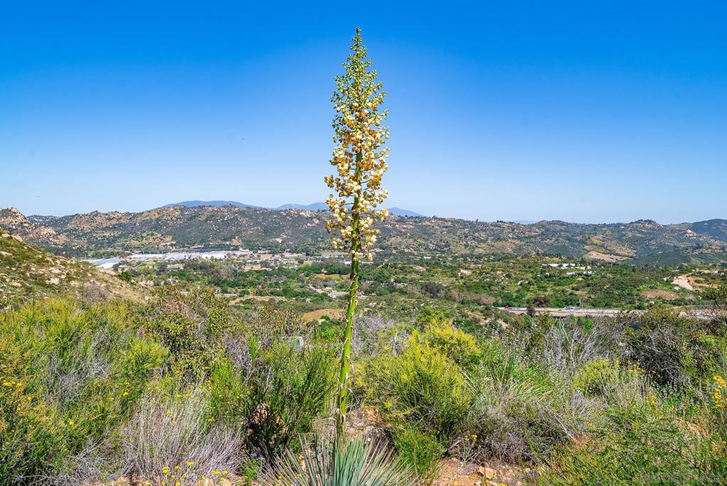 Fallbrook - Land