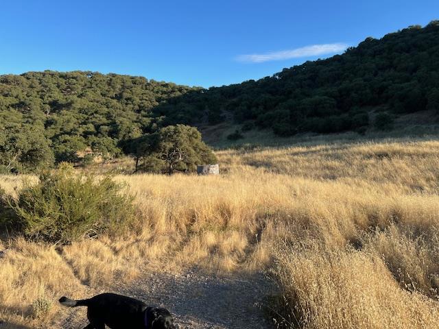 0 Pine Canyon Road