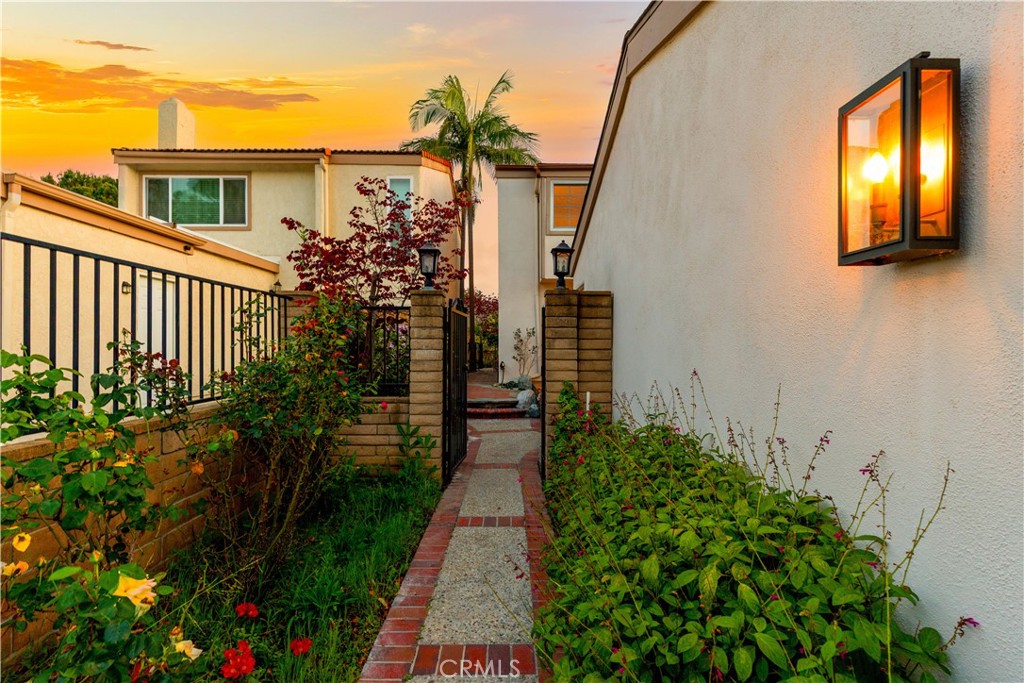 54 Willow Tree