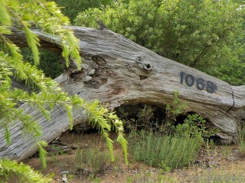 Tiny photo for 1068 W Incense Cedar Road Rd, Julian, CA 92036 (MLS # 260013651SD)