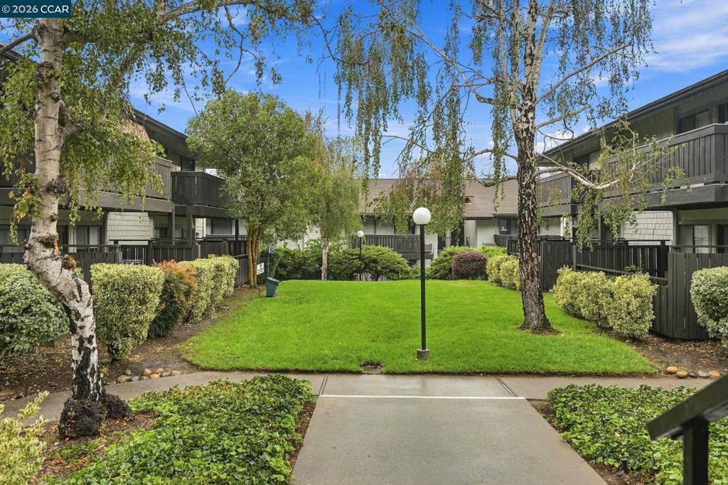 1441 Marchbanks Drive 2