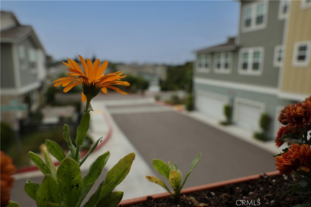 1104 Hibiscus Way