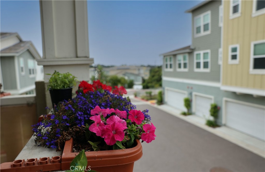 1104 Hibiscus Way