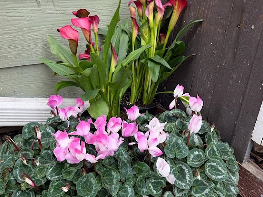 Photo of 4706 4706 San Pablo Dam Rd. Rd, El Sobrante, CA 94803 (MLS # 41121613)