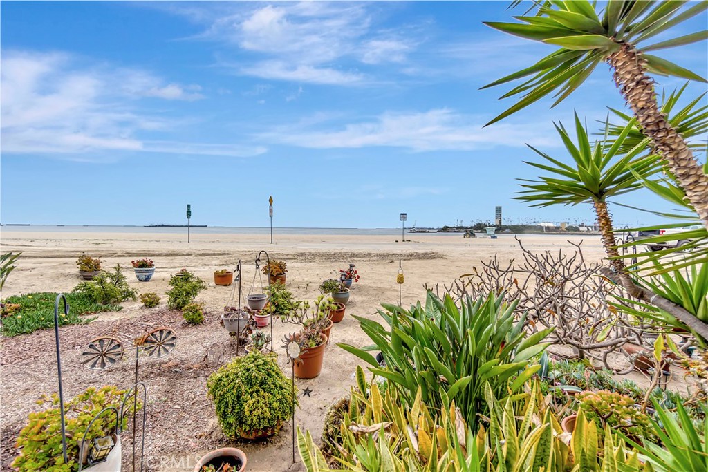 1200 E Ocean Boulevard 12