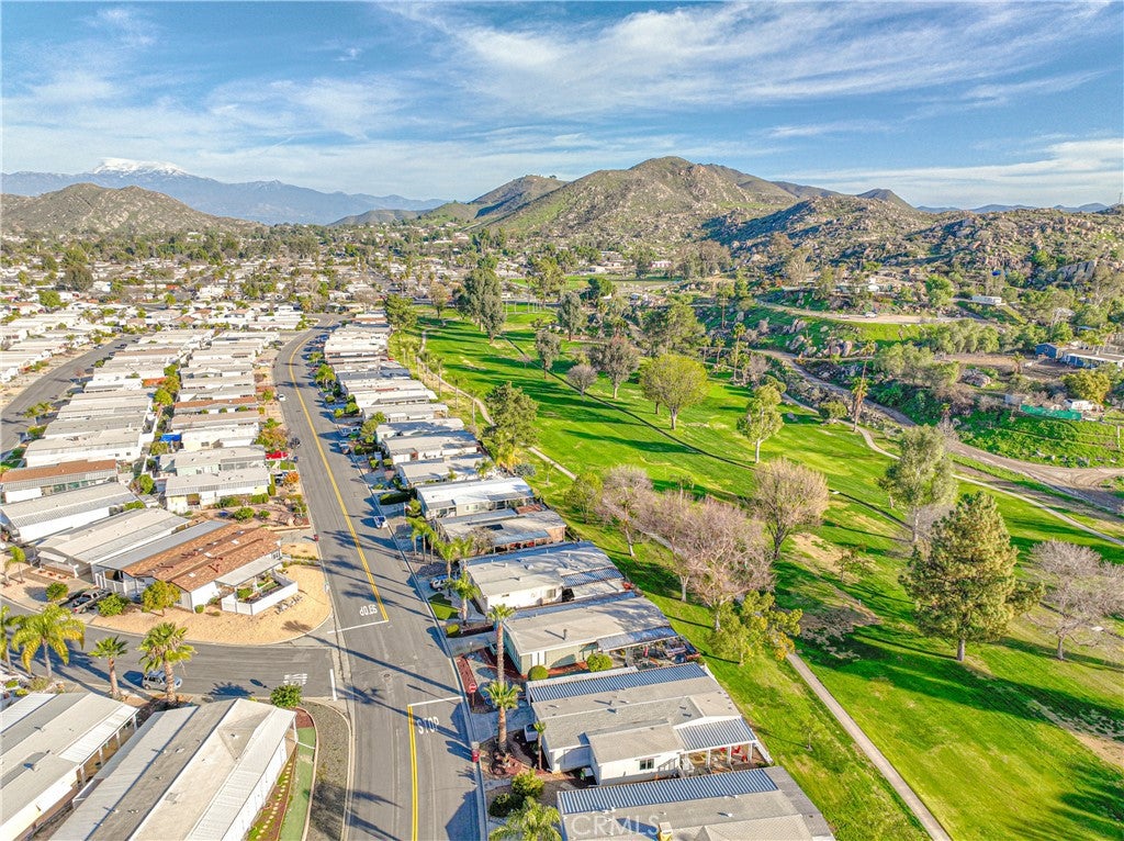 30760 Paradise Palm
