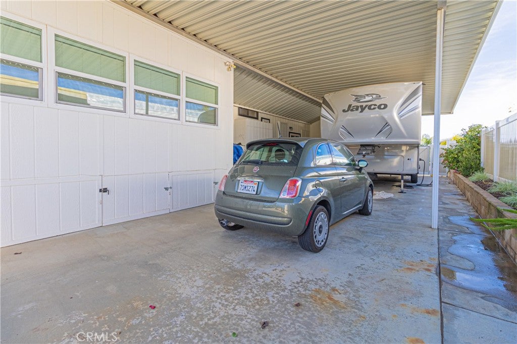30760 Paradise Palm