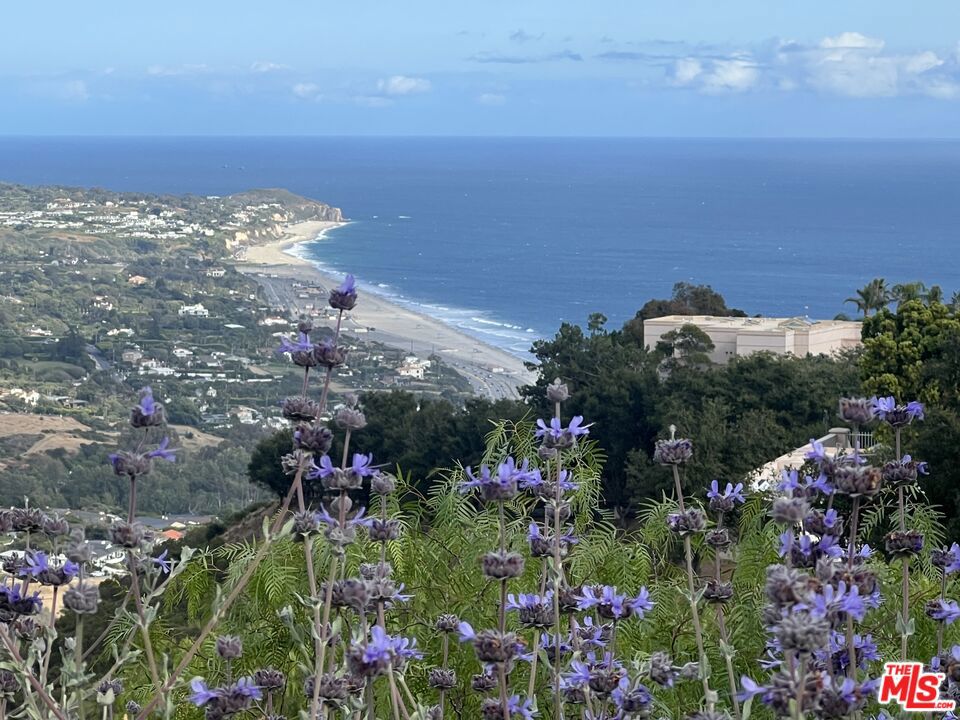 31415 Anacapa View Drive