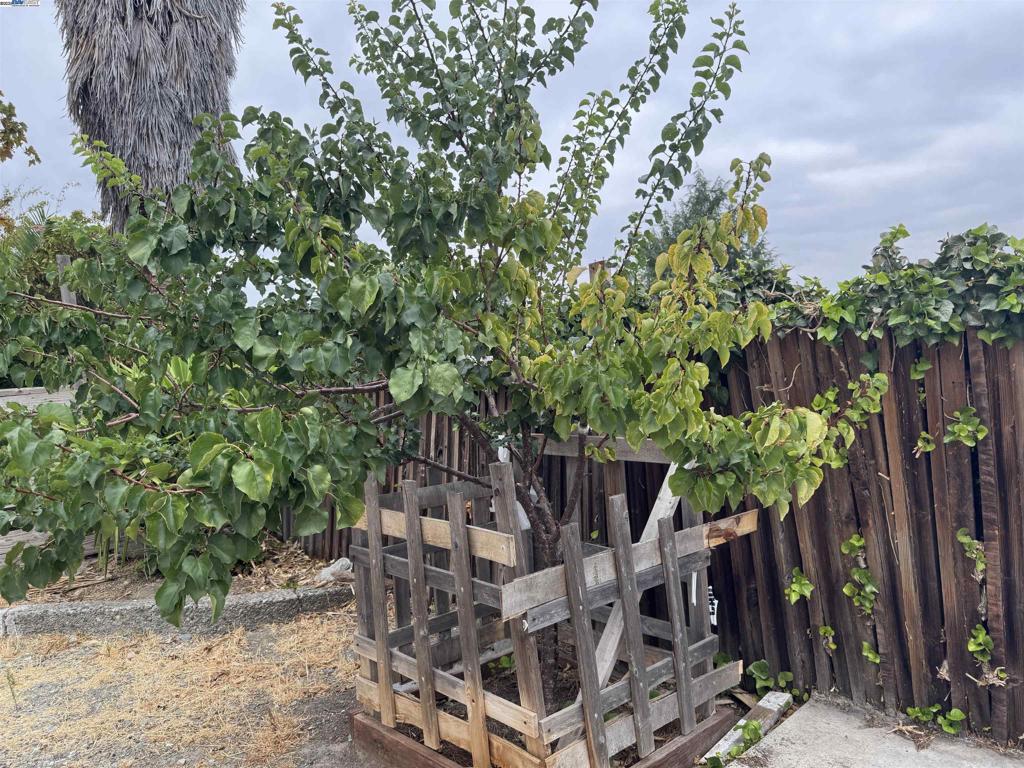 PACHECO - Residential