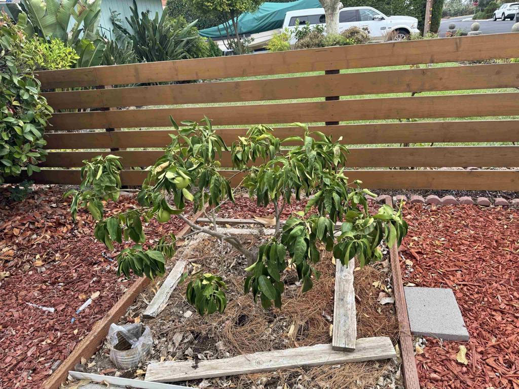 PACHECO - Residential