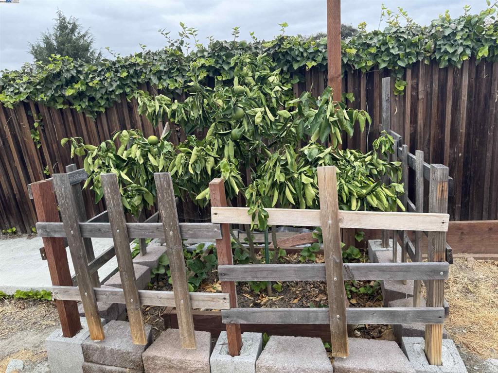 PACHECO - Residential